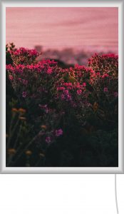 Infrarotheizung als gerahmtes Bild mit Kabel für die Steckdose